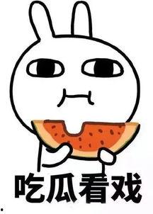 娱乐吃瓜酱体味,吃瓜酱体味背后的故事